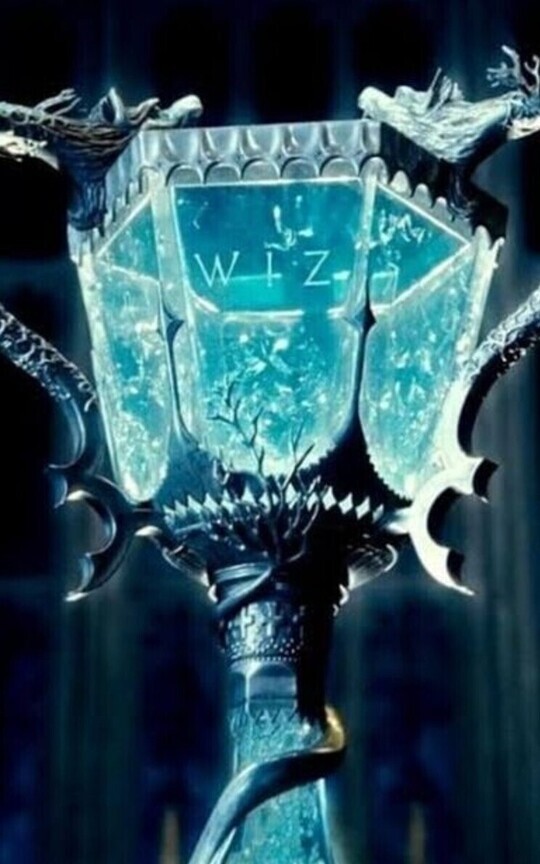 Holly Potter and friends 4: Triwizard tournament
