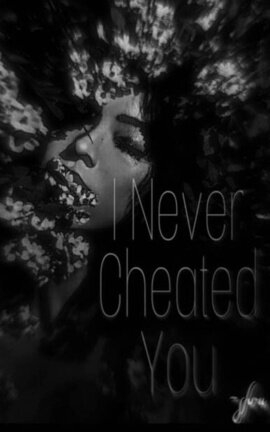 I Never Cheated You 