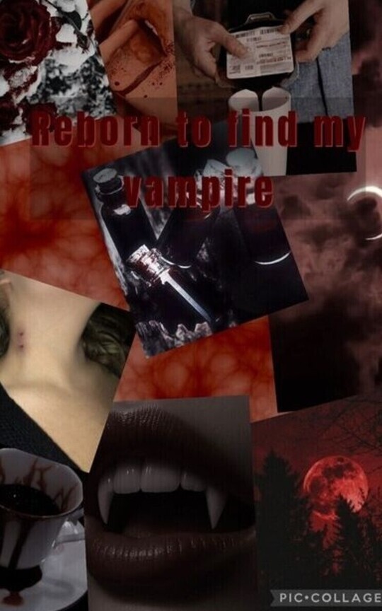 Reborn to find my vampire 