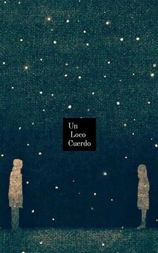 Un Loco Cuerdo
