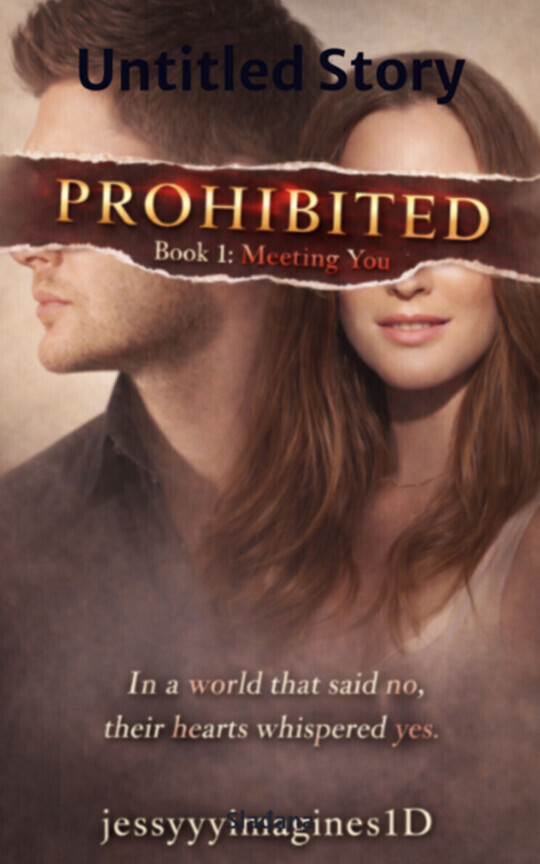 Prohibited Series: Meeting you (book 1)