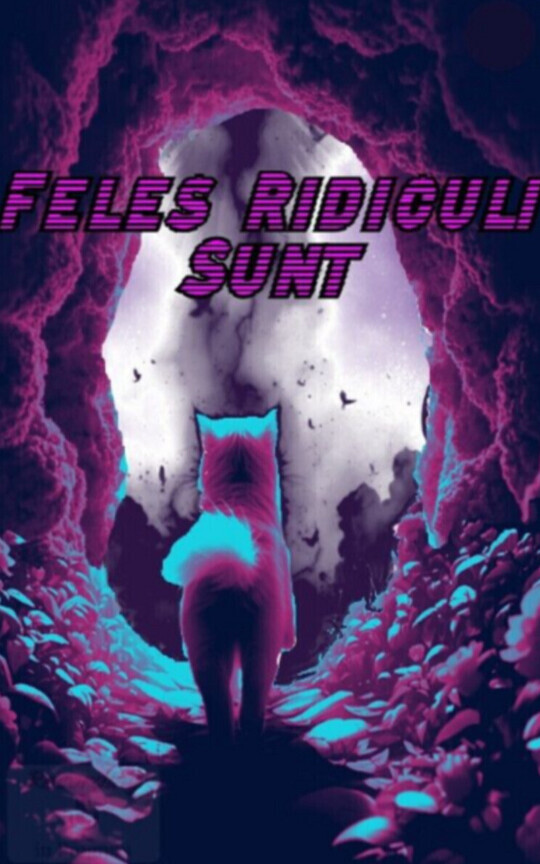 Feles Ridiculi Sunt