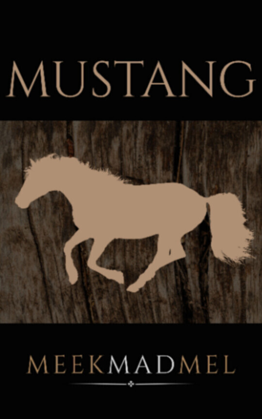 MUSTANG