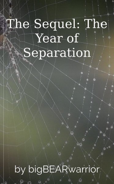 The Sequel: The Year of Separation