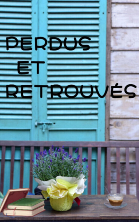 PERDUS ET RETROUV脡S (Collioure 1)