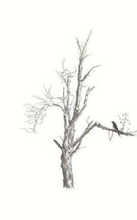 If the bough breaks