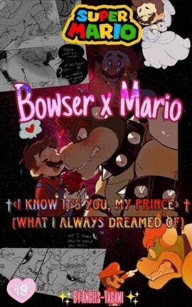 Mario Bros | I Know It's You, My prince |