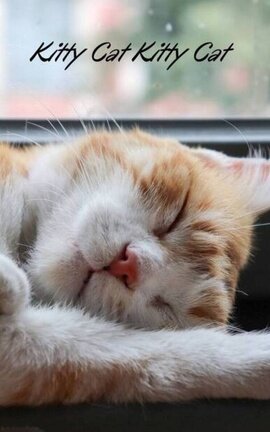 Kitty Cat Kitty Cat
