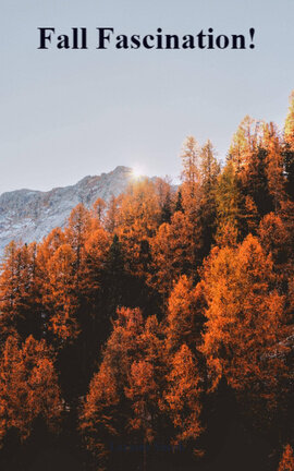 Fall Fascination!