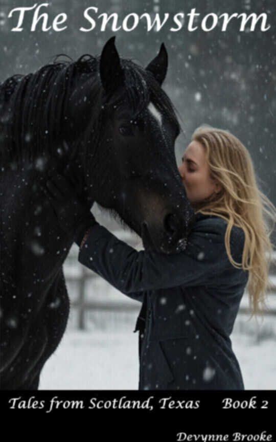 The Snowstorm