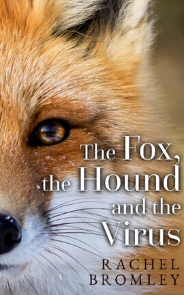 The Fox, the Hound and the Virus