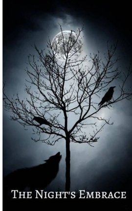 The Night's Embrace