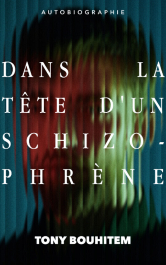 Dans la tête d’un schizophrène