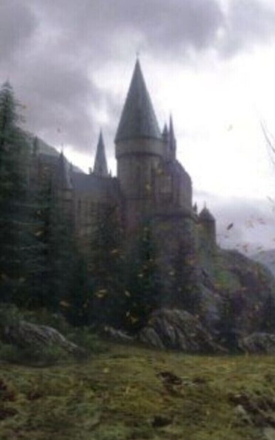 Harry Potter-The Curse of the Intrusive Gryffindor