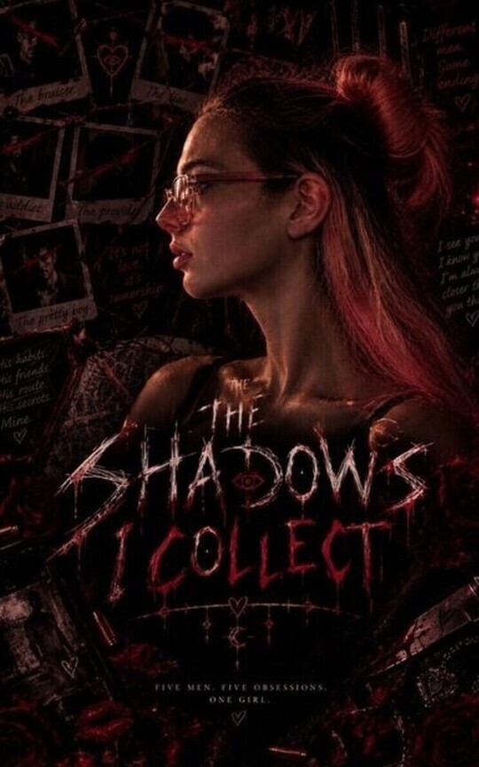 The shadows I collect
