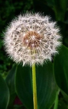 Resilience