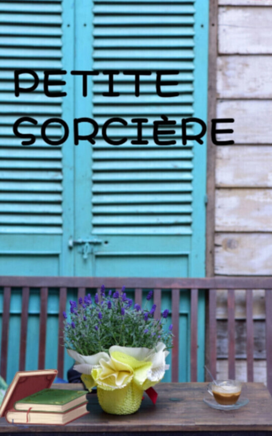 PETITE SORCI脠RE (Collioure 3)