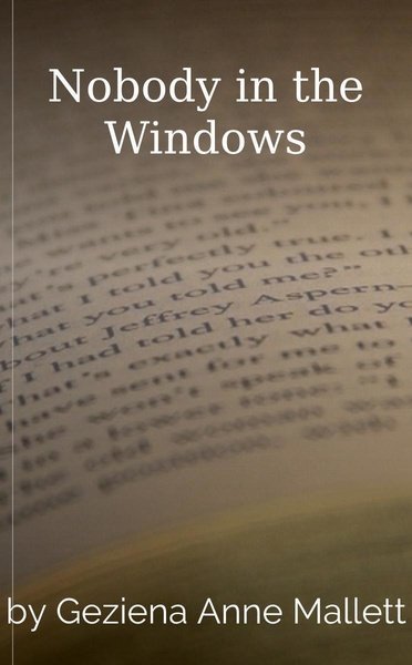 Nobody in the Windows