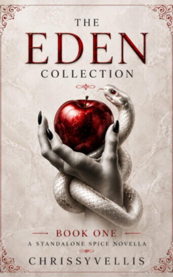 A MMF Novella 18+